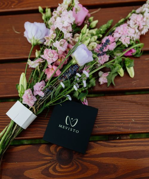 Antje Schmidt – Rednerin & Coachin in MV mit Herz